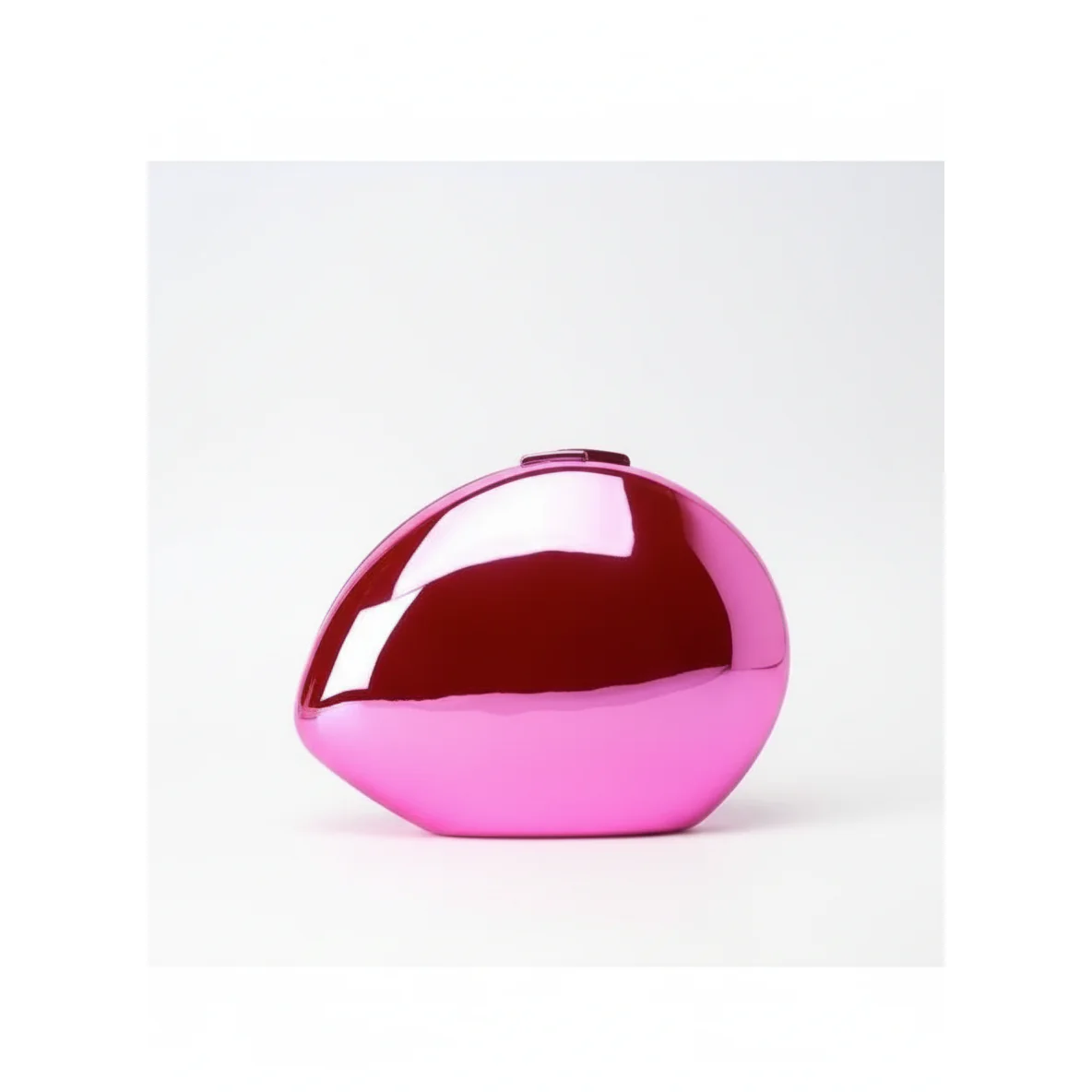 Acrylic Goose Shell Clutch Bag - Image 3