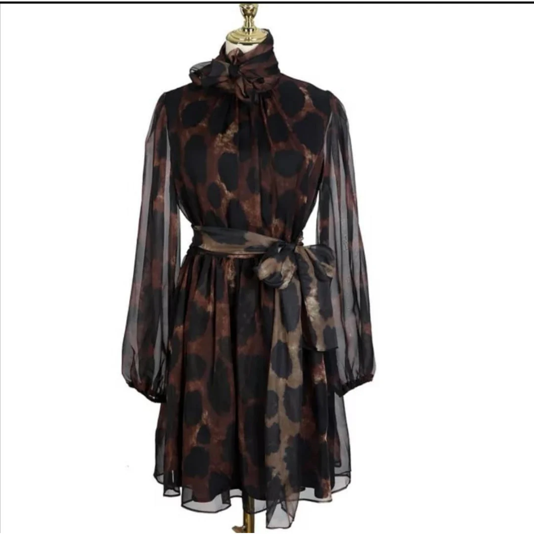Sheer Leopard Print Dress  - Image 4